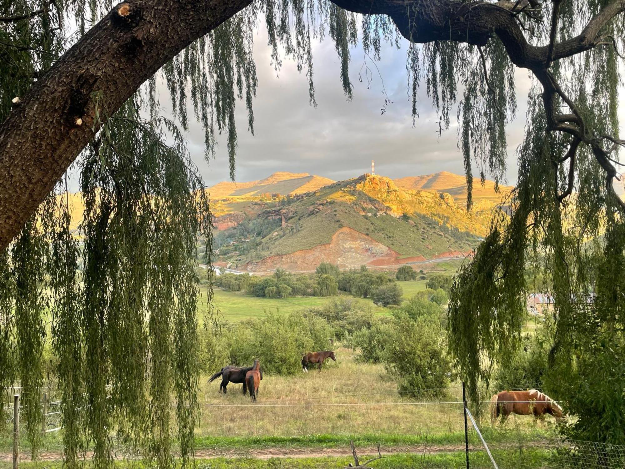Old Mill Drift Guest Farm Villa Clarens Exterior photo